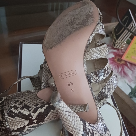 Shoes - Picture 5 of 5